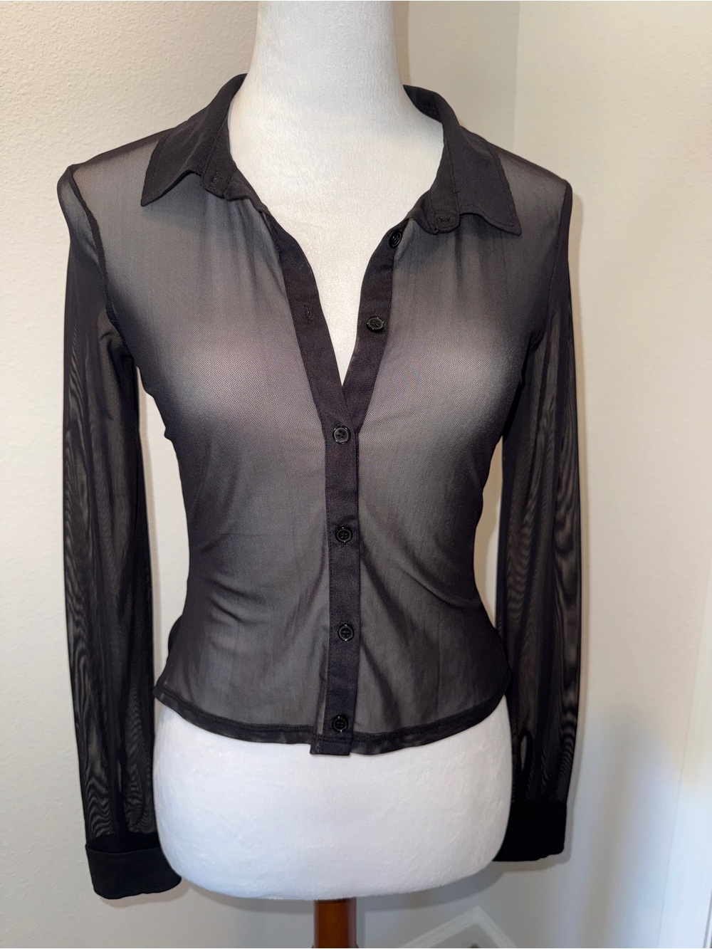 Sheer Button-Front Black Long-Sleeve Collared Top